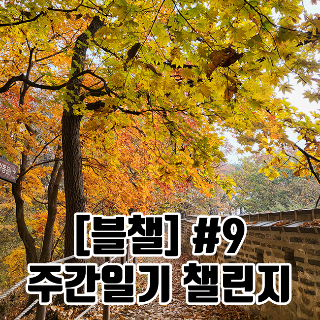  [블챌] 주간일기 챌린지 #9 | 가을 단풍 명소 남한산성 | 서울 근교가 볼만한 곳