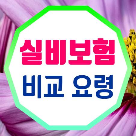 유아실비보험 비교 시 확인해야 할 네 가지 조건