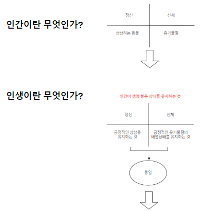  5. 도식화 및 정리