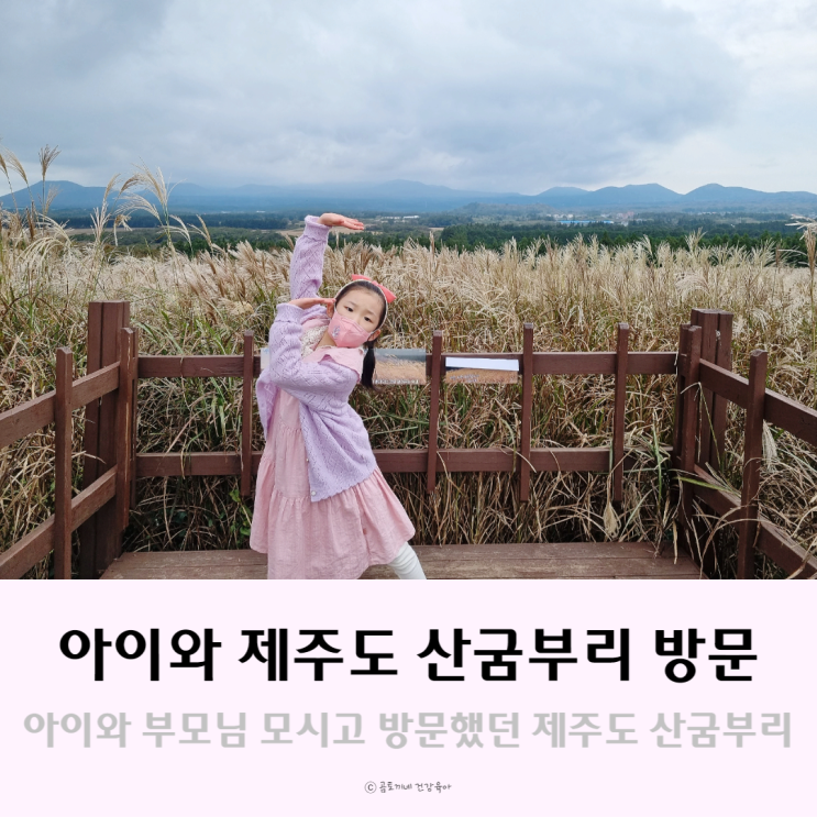 산굼부리, 초1 아이와 70대 부모님 모시고 제주도 가볼곳 산굼부리, 초1 아이와 70대 부모님 모시고 제주도 가볼곳