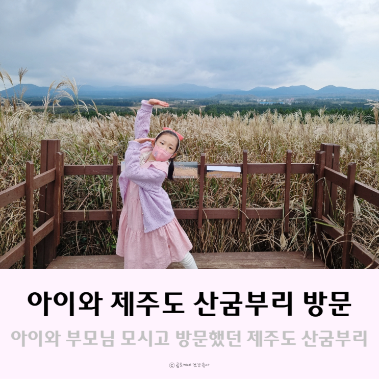 산굼부리, 초1 아이와 70대 부모님 모시고 제주도 가볼곳