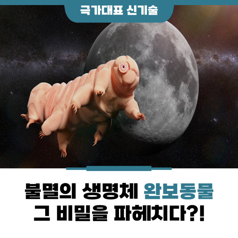 불멸의 생명체 완보동물 그 비밀을 파헤치다?