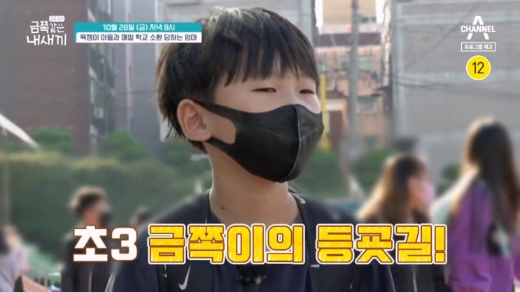 초3 욕하는 아들 금쪽이 생존언어 이유 요즘육아 금쪽같은 내새끼 초3 욕하는 아들 금쪽이 생존언어 이유 요즘육아 금쪽같은 내새끼