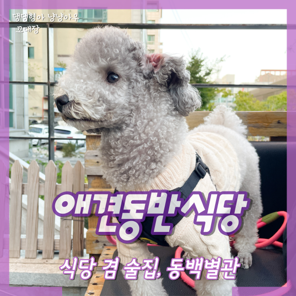  인천 애견동반식당 술집 분위기 좋은 동백별관