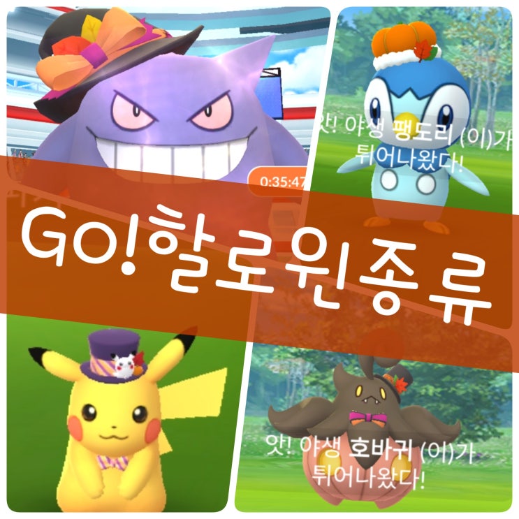 포켓몬고 이벤트 할로윈 포켓몬 종류 잡는법, 핼러윈 레이드 일정