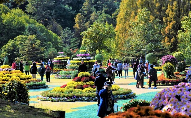  2022 청남대 가을 국화축제 기본정보, 청남대 국화축제 트레킹 코스 (충북 청주)