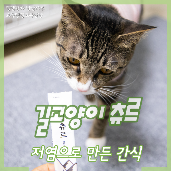  길고양이 츄르 간식으로 좋은 저염 레시피 고집츄르