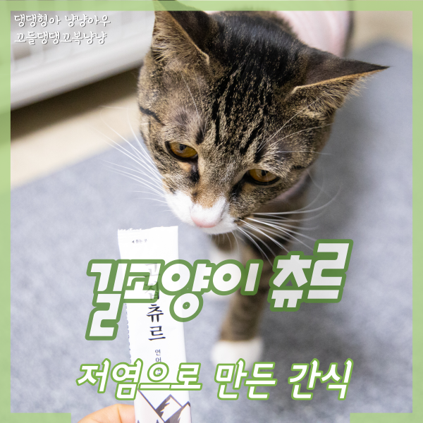 길고양이 츄르 간식으로 좋은 저염 레시피 고집츄르