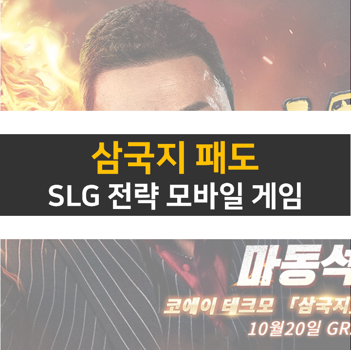 삼국지패도 쿠폰 리세 장수 등급표 티어 공략 삼국지패도 쿠폰 리세 장수 등급표 티어 공략
