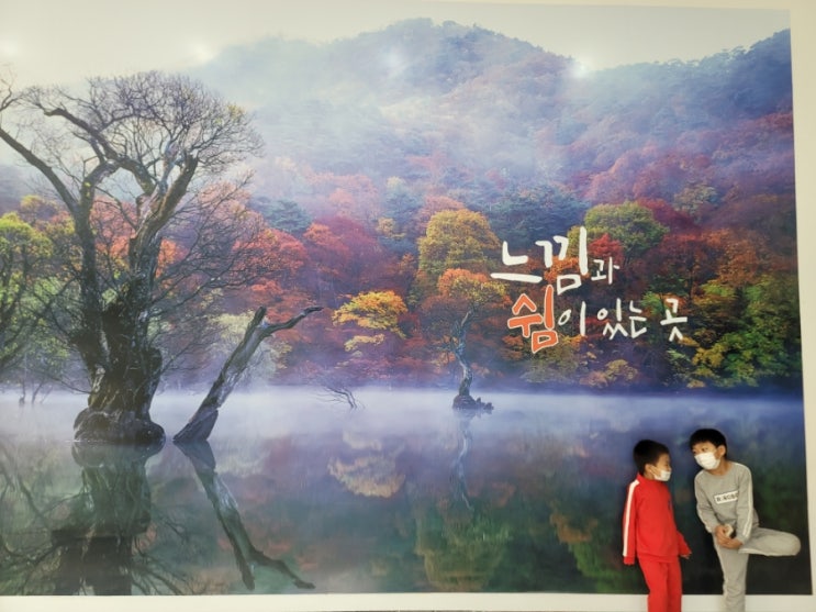  아이와 함께 청송문화관광재단 청송백자전시관 방문(무료), 청송백자의 아름다움에 빠지다.