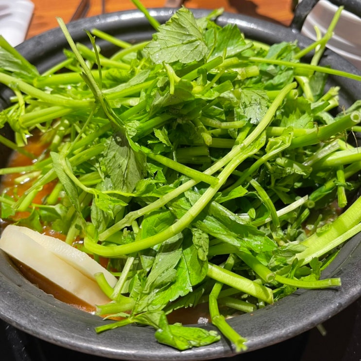 [성수 맛집] 등촌샤브칼국수 칼칼한 국물의 샤브샤브 맛집