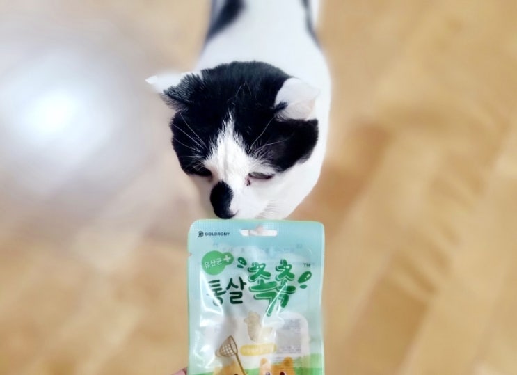  고양이 닭가슴살에 유산균이 듬뿍, 골드로니 닭안심 통살 간식