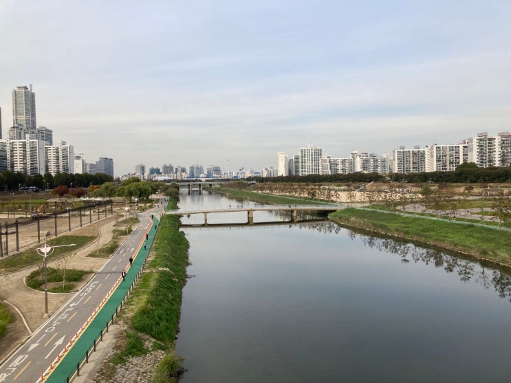  양천공원/안양천 산책과 축제소식(온앤런,빛축제,그린축제)