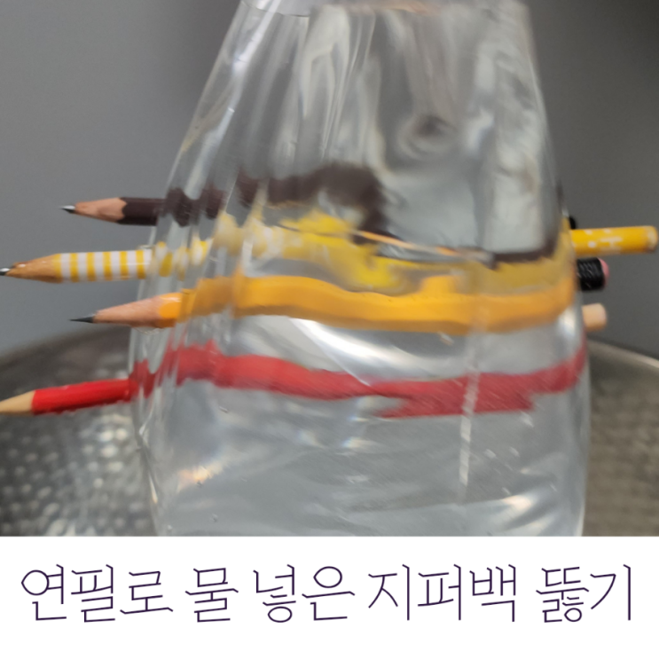 간단한 과학실험 / 연필로 물 넣은 지퍼백을 뚫기