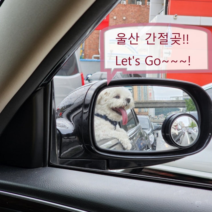  [울산 여행] 동해바다 간절곶. 걷기 좋은 밤바다로 떠나요