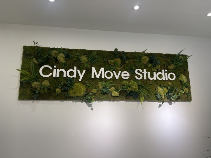  이대역 필라테스를 하고 싶다면 <CINDY MOVE STUDIO> 내 몸 내 돈 내산