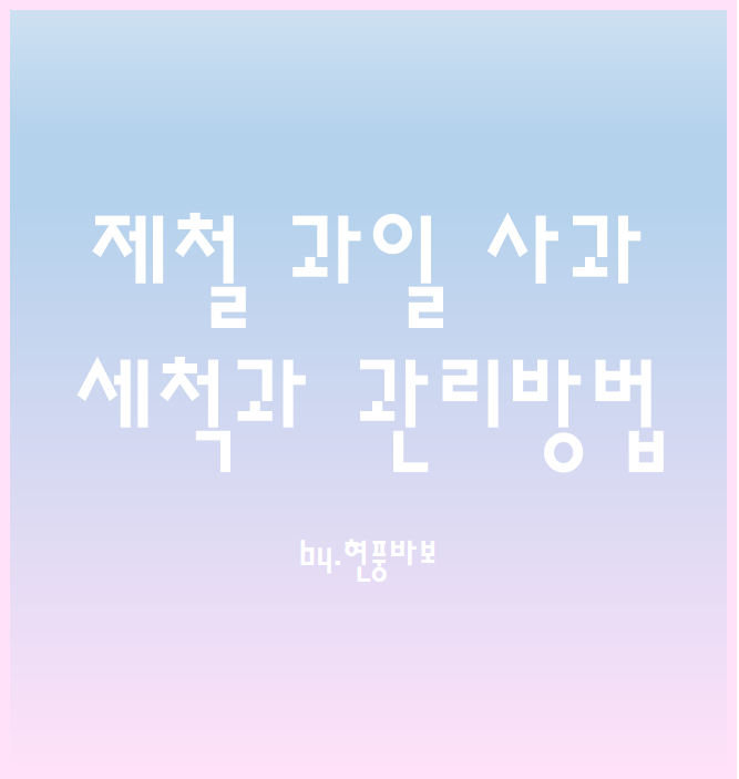 제철 과일 사과 세척과 관리 방법?