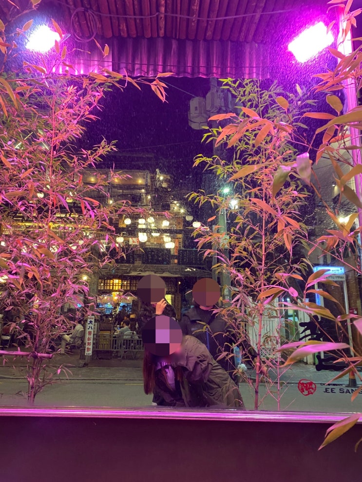  내돈내산 솔직 후기- 분위기 좋은 합정동 이자카야 <청담이상>