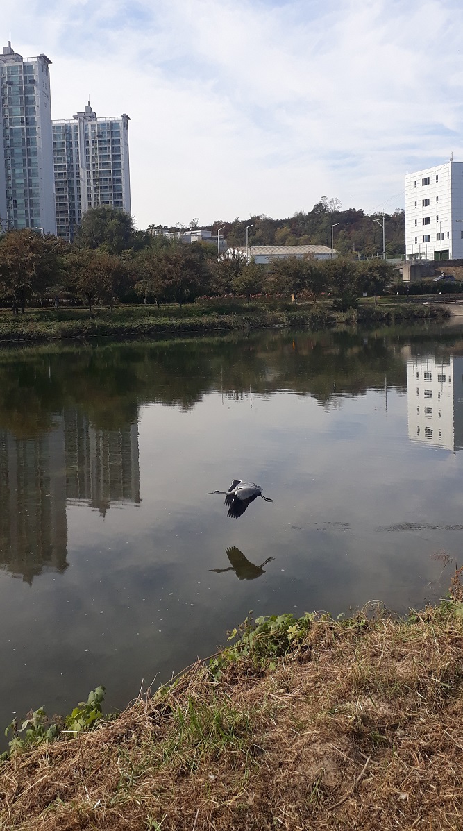  중랑구 사주: 사주와 직업,적성 #동하사주타로작명원(이동하 작명원)