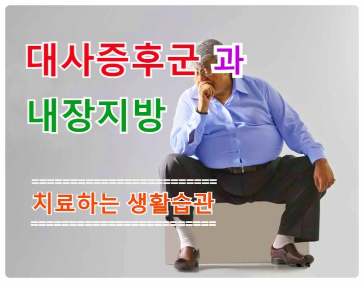 대사증후군 증상과 내장지방.. 치료하는 생활습관