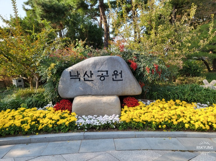 [서울 1박2일 여행/첫째날] 데이트코스 산책코스로 좋은 낙산공원