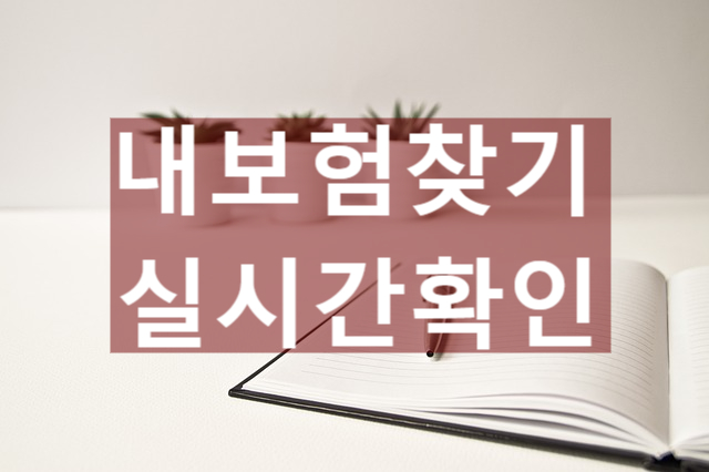  내보험찾기 실시간으로 확인하는 방법
