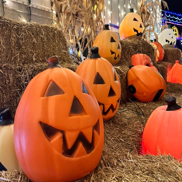  토론토일상, Halloween Nights of Lights & Pumpkin Ville 할로윈시즌 저녁 나들이 추천