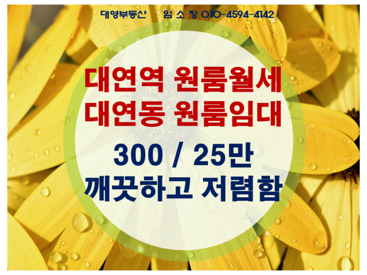  대연역 원룸 월세 위치 좋고 저렴한 원룸 300-25만원