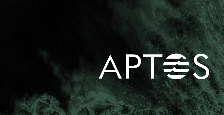 앱토스 무너지지않는 APT 코인 aptos