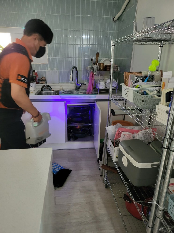  금산방역업체 싹잡아방역은 바퀴벌레, 개미, 진드기, 노래기, 돈벌레, 상가, 아파트, 건물, 빌라, 오피스텔 상관없이 어디든 방역가능합니다.