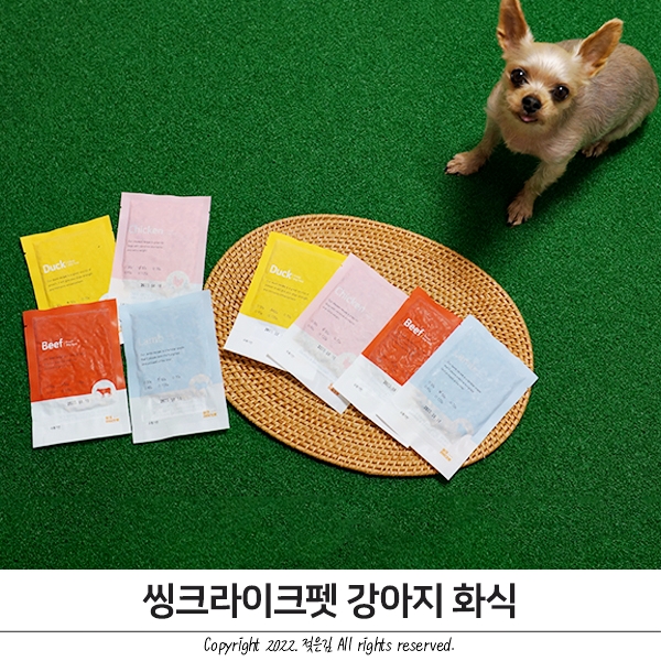 씽크라이크펫 노령견입맛없을때 이만한 강아지화식 없죠