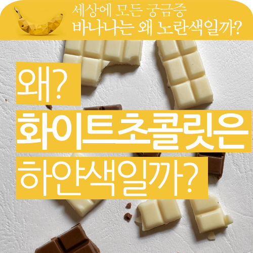 화이트 초콜릿은 어떻게 하얀색일까? 화이트 초콜릿은 어떻게 하얀색일까?