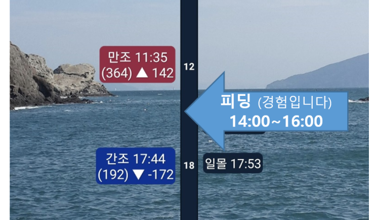 갑오징어 낚시 후기와 갑오징어 물때에 대하여 (10월 22일, 군산 킹마린호, feat.벨렘나이트환)