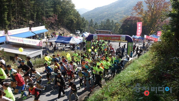 제4회 보은 속리산 단풍 마라톤대회 29일 개최