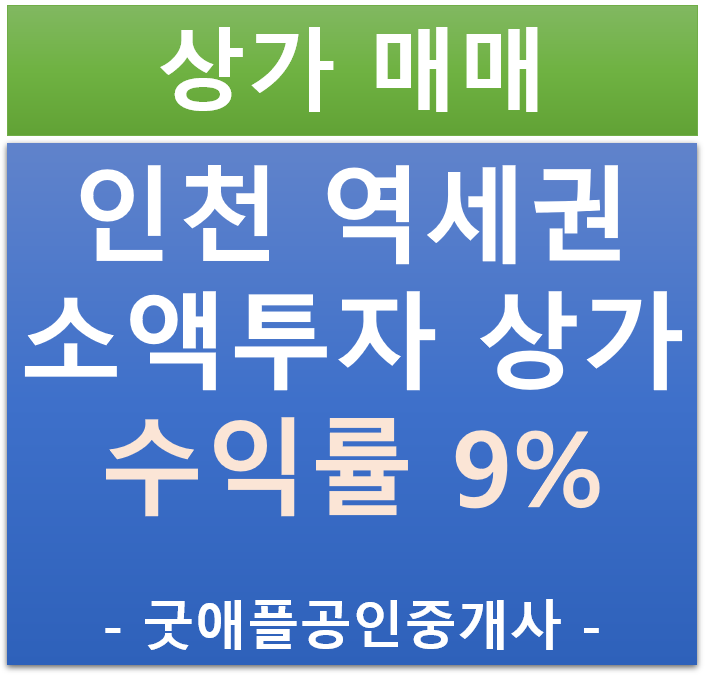 수익률 9%, 인천 역세권 소액 투자 상가 매매 수익률 9%, 인천 역세권 소액 투자 상가 매매