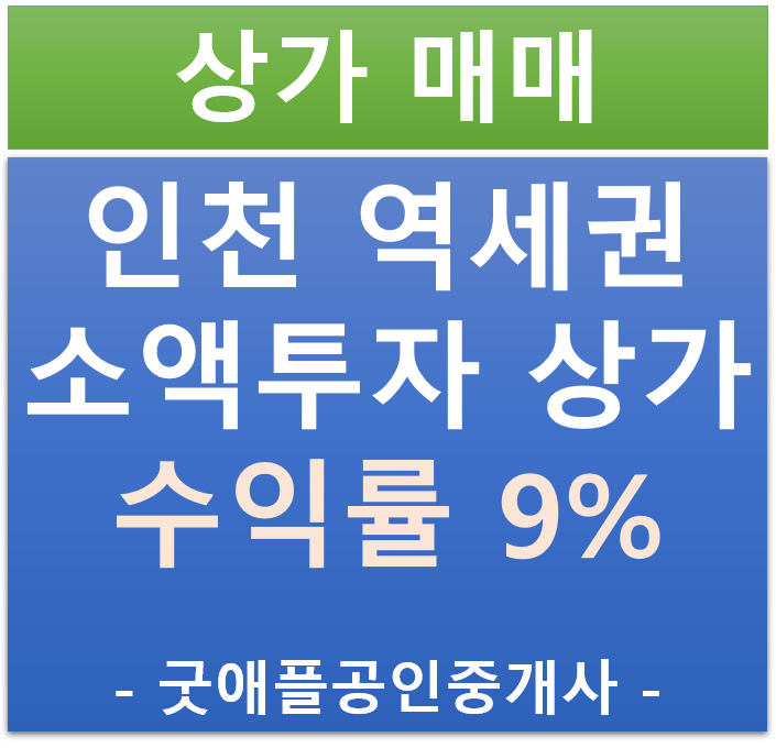 수익률 9%, 인천 역세권 소액 투자 상가 매매