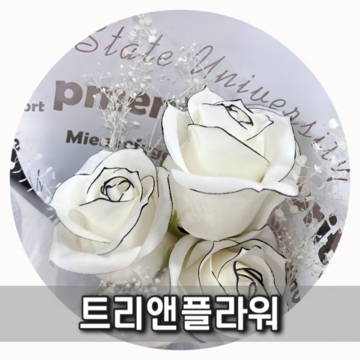  수원역 꽃집 [트리앤플라워] 수원 꽃다발은 여기에서 !