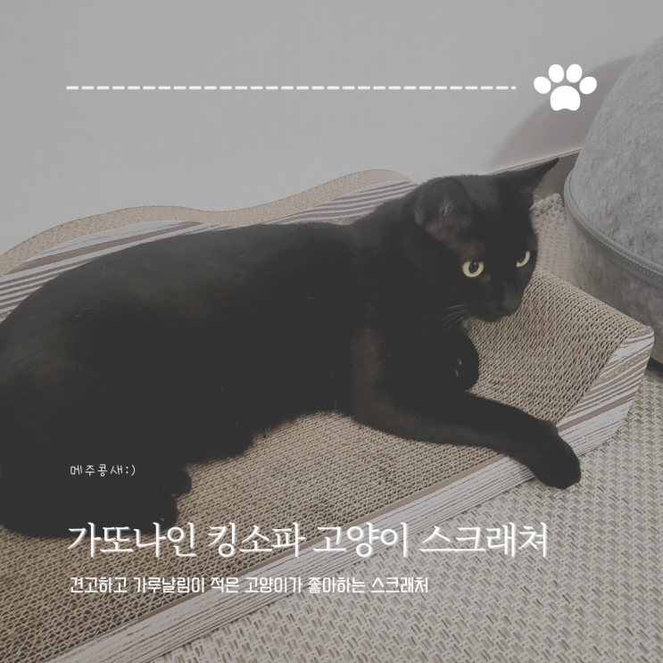  고양이 스크래쳐 추천 스크래처는 역시 :: 가또나인 모카 킹소파 스크래쳐