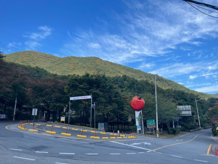 [라이딩 코스] 영남 6고개 정방향 98km 획고 2,000m (천태사-배태고개-배내고개-석남사-도래재-감물리) 난이도 상