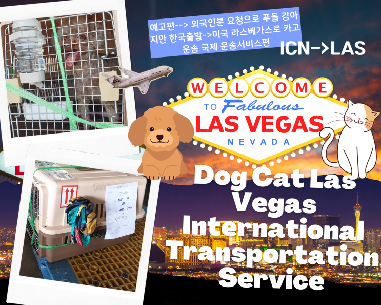 강아지 고양이 반려견 반려동물 대형견 라스베가스 카고 국제 검역 해외운송 [ICN-LAS]