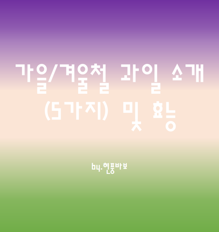 가을/겨울철 과일 소개(5가지) 및 효능