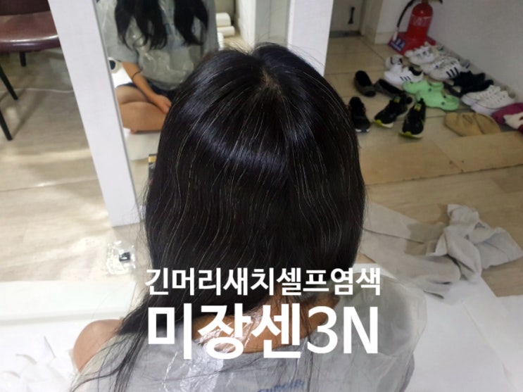  [미쟝센]  긴머리 새치 간편 염색 성공! (1부터 10까지 셀프)