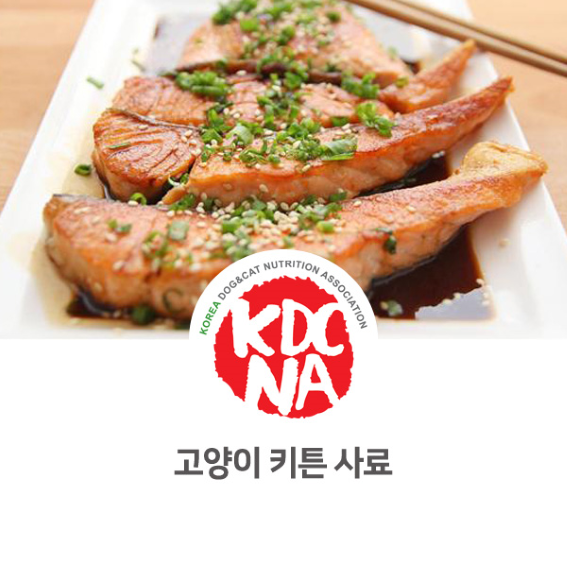 고양이 키튼 사료 알아보기 [한국반려동물영양협회/최수연펫푸드아카데미/고양이간식/애견수제간식/펫푸드수업/수원/오산/남양주_1016]