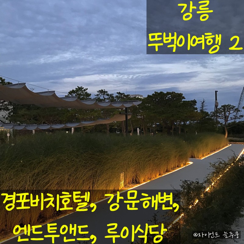 강릉뚜벅이여행②] 경포비치호텔, 카페 엔드투앤드, 맛집 루이식당 후기 : 네이버 블로그