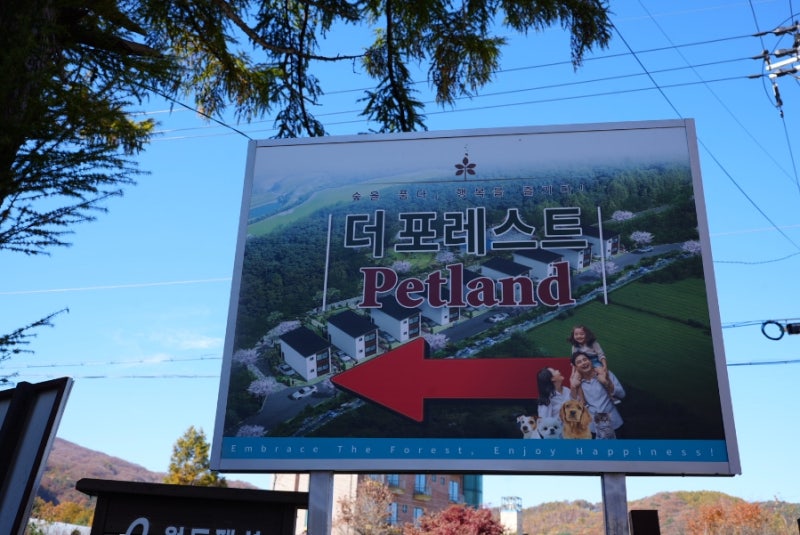 사진 4