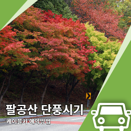 팔공산 단풍시기 케이블카 예매, 사진찍기 좋은곳 팔공산 단풍시기 케이블카 예매, 사진찍기 좋은곳