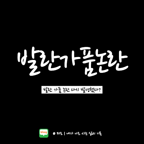  정품만 판다던 발란에서 가품 논란이 또 발생했다