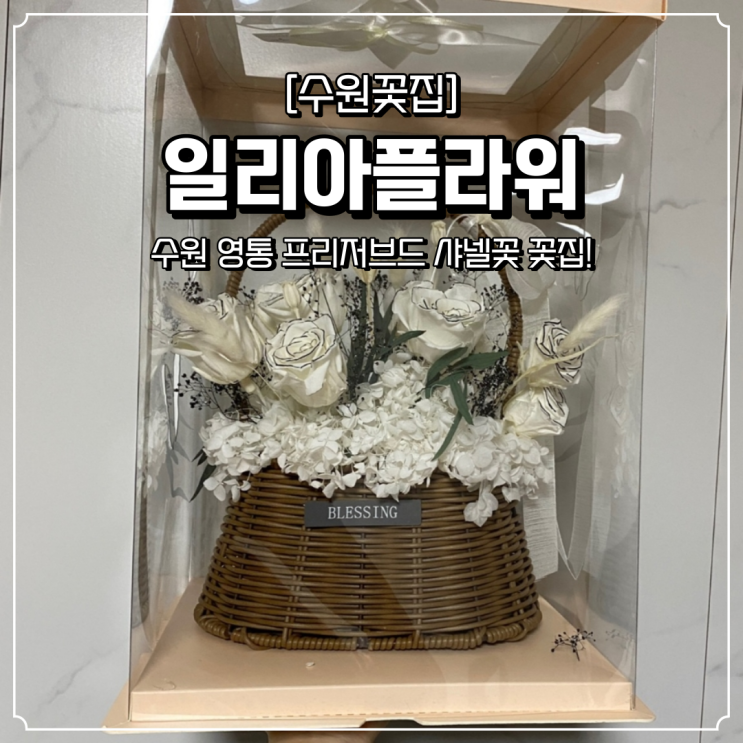  수원 샤넬장미 프리저브드 일리아플라워