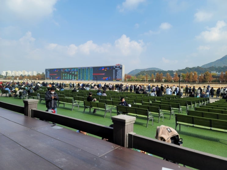  22년 10월 20일 ~ 27일 주간일기