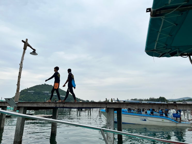 태국자유여행7일 - 파타야니모섬 네이버예약이용 투어예약 '니모를 찾아서'